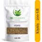 Bk Commerce 150 gr Tane Kişniş