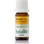 Botalife 10 ml Rezene Yağı