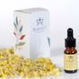 Bukhet 10 ml Ölmez Çiçek Yağı
