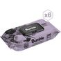 Bumble 6x100 Adet Hanımeli Islak Mendil