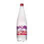 Çamlıca 1 lt Frambuaz Gazoz