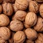 Canlar 1 kg Tohumluk Ceviz