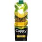 Cappy 1000 ml Ananas Suyu