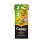 Cappy 200 ml Atom Meyve Suyu