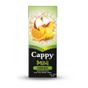 Cappy 200 ml Bahçe Karışık Meyve Nektarı