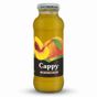 Cappy 250 ml Cam  Şeftali Nektarı