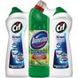 Cif Amonyaklı 2x500 ml + Domestos Dağ Esintisi 750 ml Çamaşır Suyu