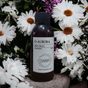 D-Aurora Fragrance 100 ml Pro Mac Meissa Koku Makinası Diffuser Esans Yağı