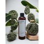 D-Aurora Fragrance 250 ml Pro Mac Capella Koku Makinası Diffuser Esans Yağı