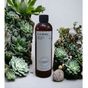 D-Aurora Fragrance 250 ml Pro Mac Naos Koku Makinası Diffuser Esans Yağı