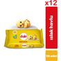 Dalin 12x56'lı Islak Havlu