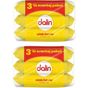 Dalin 6x56'lı Islak Havlu Mendil