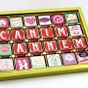 Dark Brown Chocolates & Confections 72 Adet Canım Annem Yazılı Özel Kutuda Madlen Çikolata