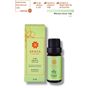 Densa Essential 10 ml Saf Doğal Biberiye Uçucu Yağı