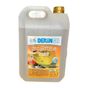 Derinsu 5 lt Kireç Çözücü