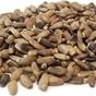 Derya Eren 80 gr Deve Dikeni