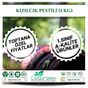DoğuMark 1 kg Kızılcık Pestili