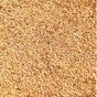 Dökme Baharat 500 gr Kavrulmuş Susam