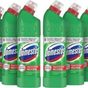 Domestos 6x750 ml Dağ Esintisi Çamaşır Suyu