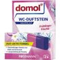 Domol Klozet Blok Yedek Bahar Ferahlığı 2x40 gr WC Kokusu