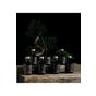 Doqu Home 200 ml New Hypnoz Çubuklu Oda Kokusu