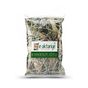 E-Aktariye 50 gr Kırkkilit Otu