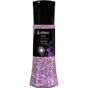 Efsina 400 gr Sofrada Öğütme Violet Kaya Tuzu
