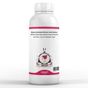 Elito 1 lt Premium Beyaz Çikolatalı Mocha Esansı