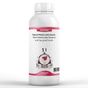 Elito 1 lt Premium Naneli Mocha Latte Esansı