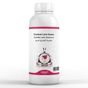 Elito 1 lt Vanilyalı Latte Esansı