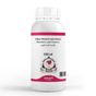 Elito 250 ml Yaban Mersinli Latte Esansı
