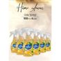 Eyüp Sabri Tuncer Hawaii Ananas Yeni Nesil 6x500 ml Oda Spreyi
