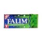 Falım 5'li Nane Aromalı Şekersiz Sakız