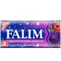 Falım 5'li Orman Meyve Aromalı Sakız