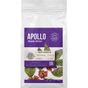 Favorte Coffee 1 kg Apollo Premium Espresso