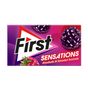First 27 gr Sensations Ahududu ve Karadut Aromalı Sakız