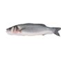 Fish Fish 600 gr Donuk Temizlenmiş Levrek