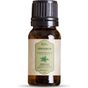 Fitodrop 10 ml Tıbbi Nane Uçucu Yağı