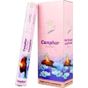 Flute Camphor 6x20 Çubuk Tütsü