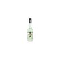 Fo 700 ml Bahçe Nanesi Aromalı Kokteyl Şurup