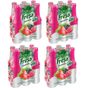 Freşa 250 ml Premium Orman Meyveli Soda