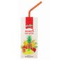Fruit Drops 200 ml Karışık Meyveli İçecek