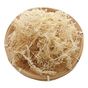 Fujian Friday 120 gr Tuzsuz Seamoss Deniz Yosunu