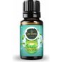 Gardone 10 ml Fresh Uçucu Yağı Buhurdanlık Ortam Kokusu