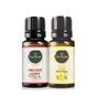 Gardone 2x10 ml Turuncu Ortam Koku Seti