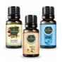 Gardone Tutti Frutti + Okyanus + Vanilya 3 x 10 ml Esansiyel Uçucu Yağ