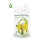 Gebece 20 ml Kantaron Yağı