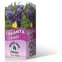 Gençay 10 ml Lavanta Yağı