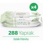 Giggles 288 Adet Yeşilçay Kokulu Islak Mendil