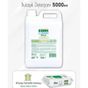 Green Clean Bitkisel Bulaşık Deterjanı 5 lt + 100'lü Easy Clean Yüzey Temizlik Havlusu